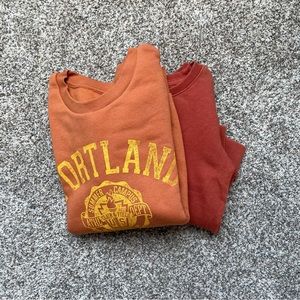 Bundle of 2 Sweaters